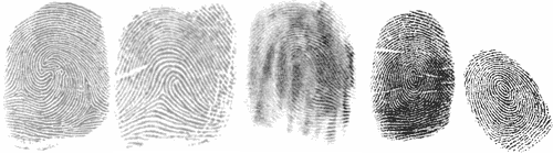 fingerprint.gif