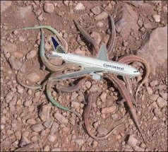 airport_lizard_feeding_time.jpg