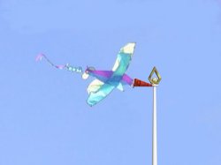 kite-winsock-1.jpg